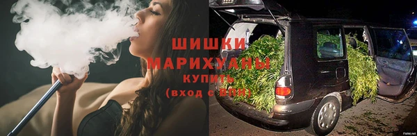 индика Арсеньев