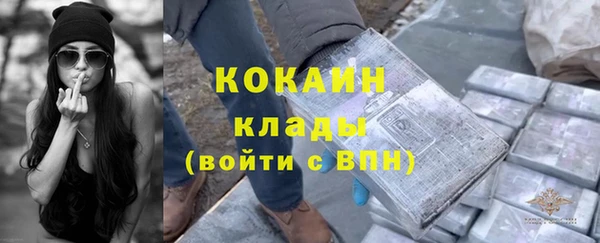 индика Арсеньев