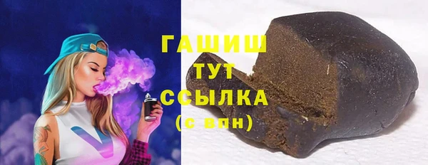 индика Арсеньев