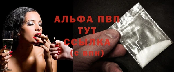 индика Арсеньев