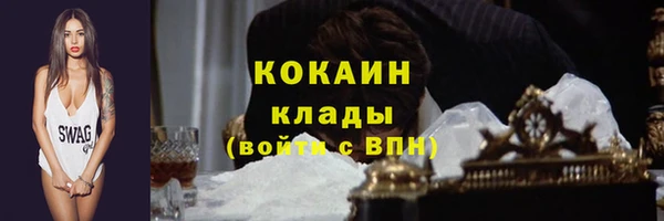 индика Арсеньев