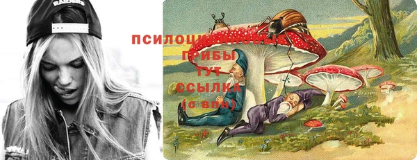 MESCALINE Аркадак