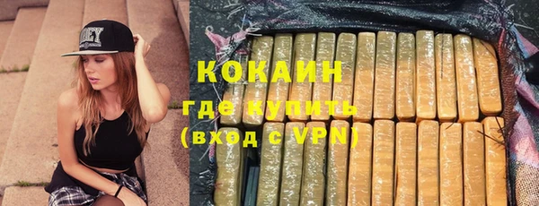 индика Арсеньев