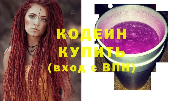 индика Арсеньев